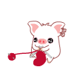 cutepig60